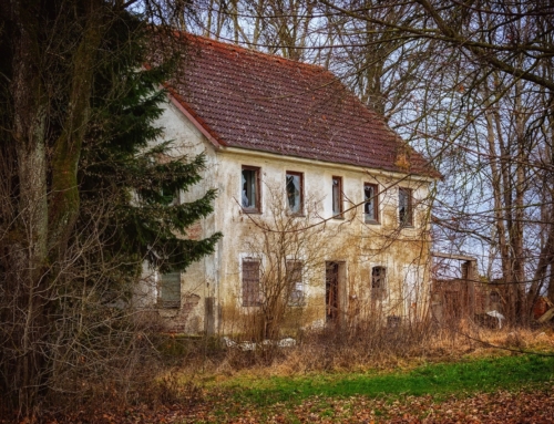 A Home Ruined & Rebuilt