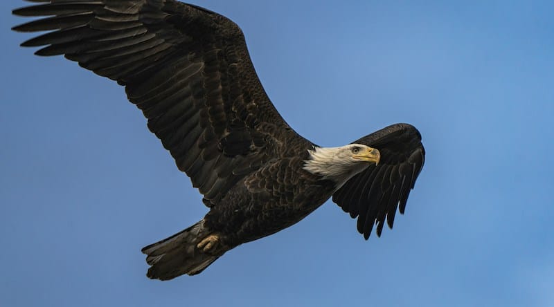 America: Heading for Ruin?
