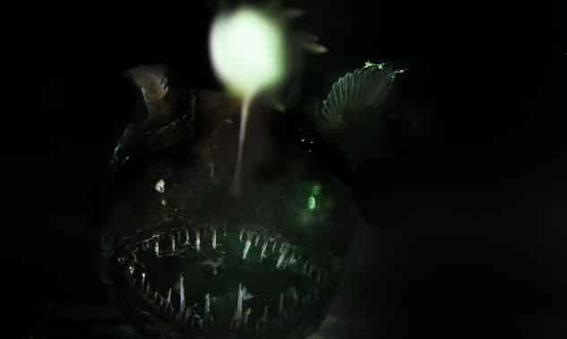 Light in the Darkness