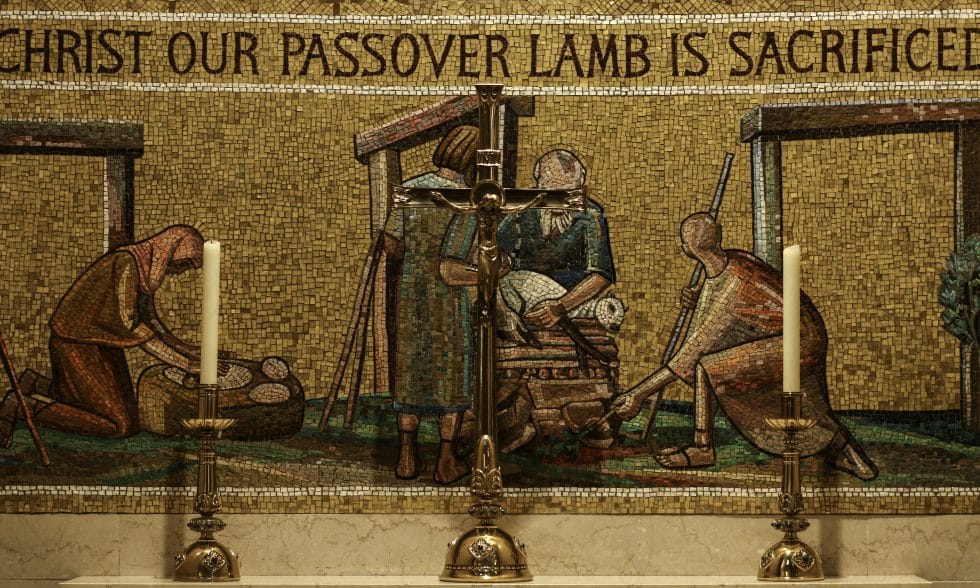 Follow the Lamb | Dominicana Journal