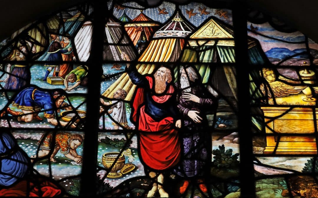 Rorate Cæli Desuper