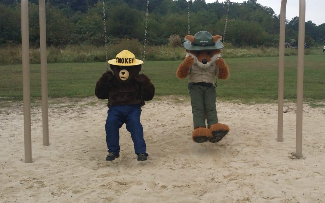 Even you can START forest fires