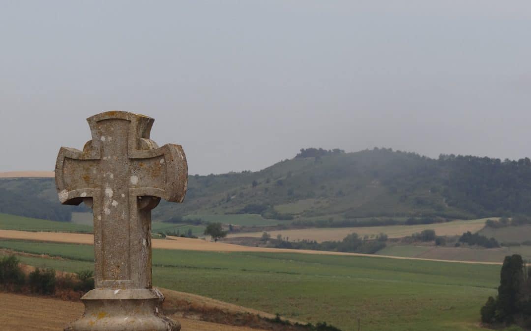 In the Patient Footsteps of St. Dominic