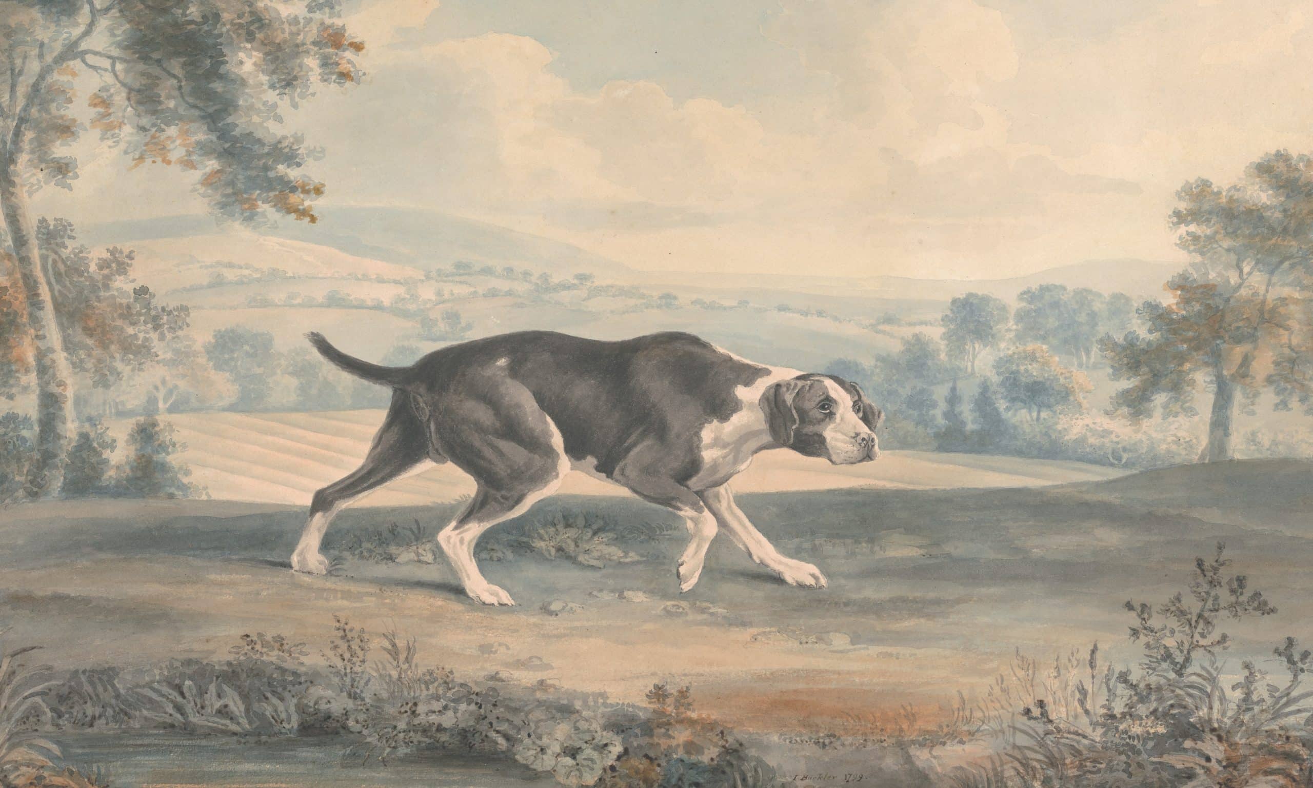 The_Spanish_Pointer-e1524420449761