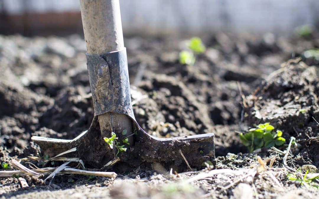 Cultivating and Tilling the Heart