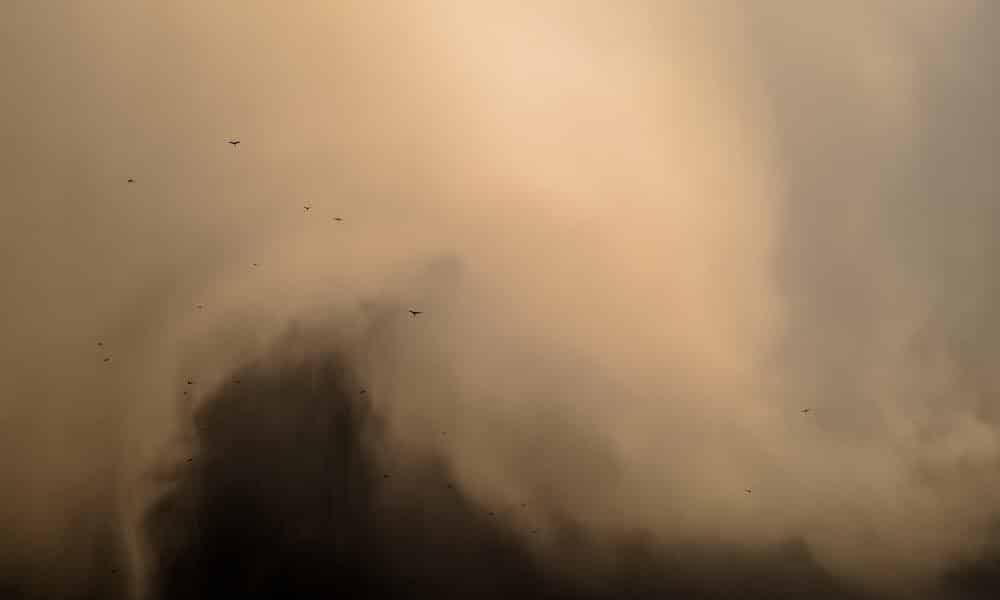 Storms of the Interior Desert