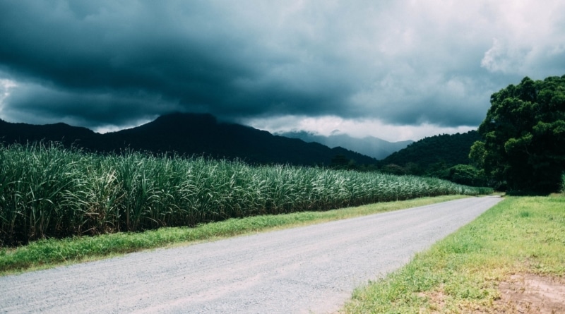 chaz-mcgregor-glpfFVX3OUg-unsplash-e1673471467525