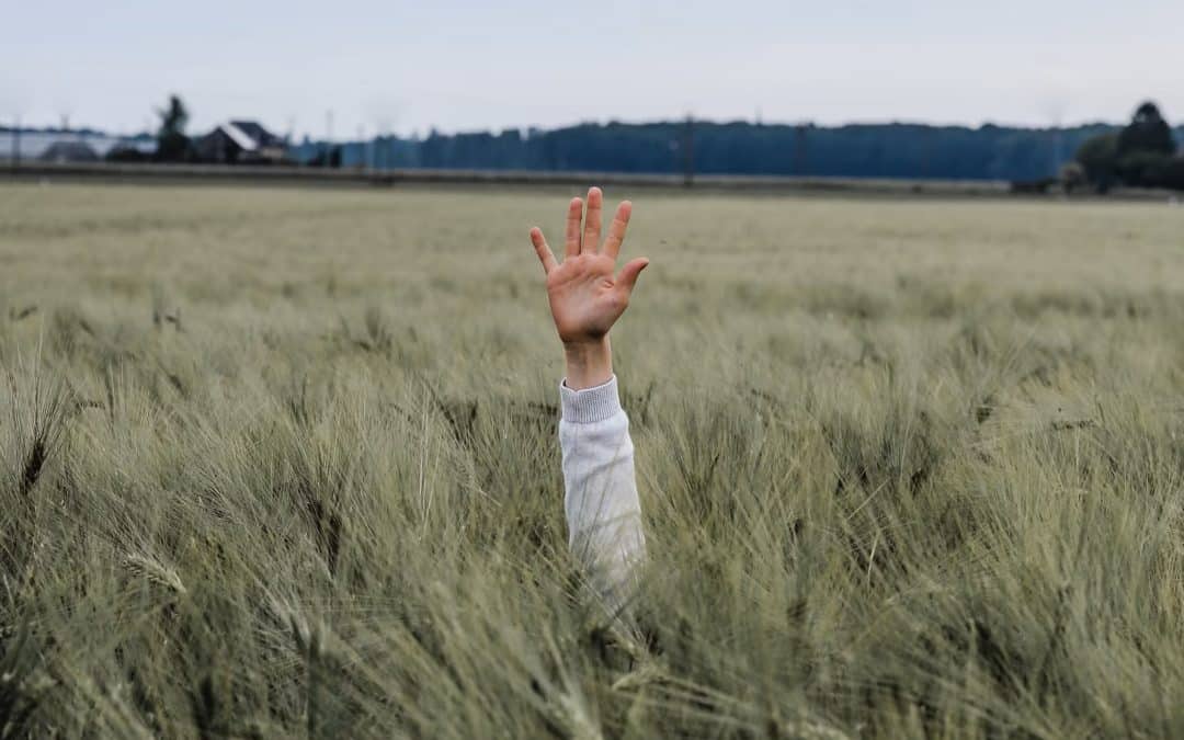 High Fives and the Final Judgment