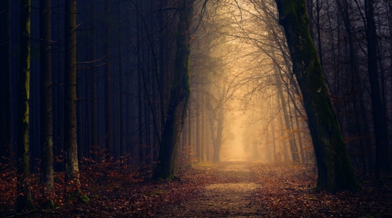 An Autumnal Fascination with Satan