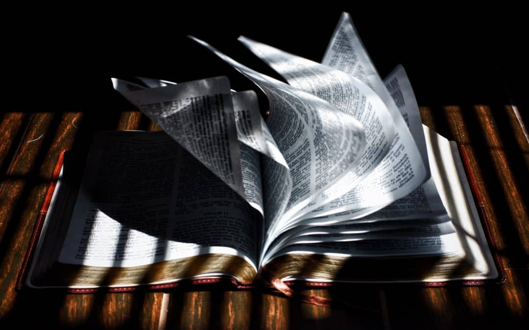 Sola Scriptura’s Disunity