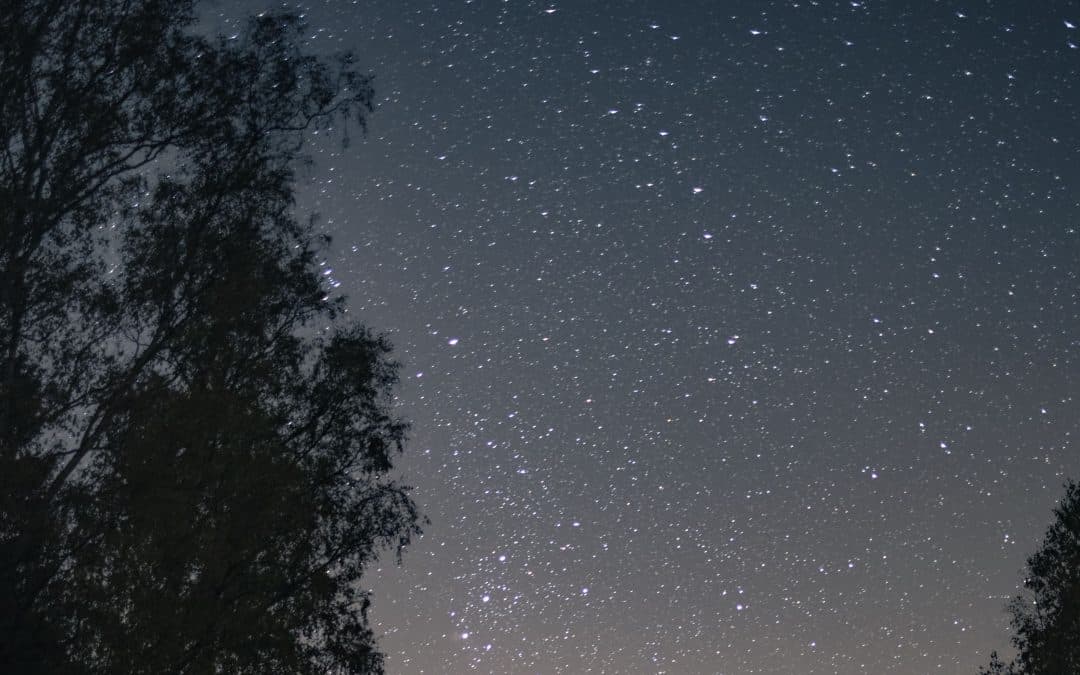Science, Idolatry, and the Usefulness of Creation