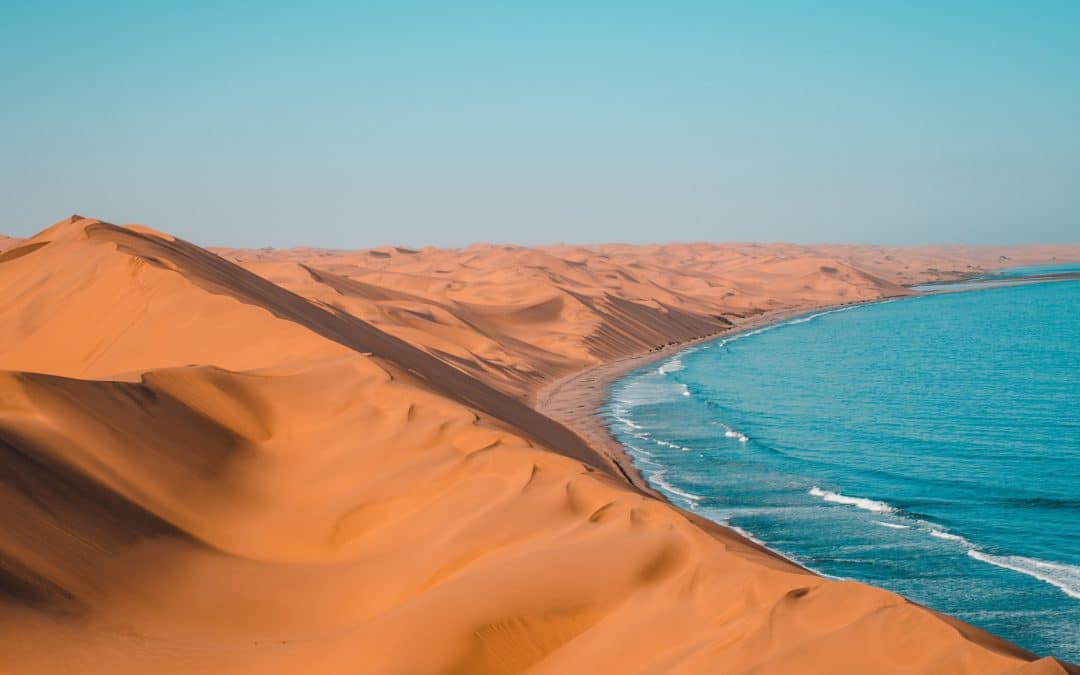 Walking the Interior Desert