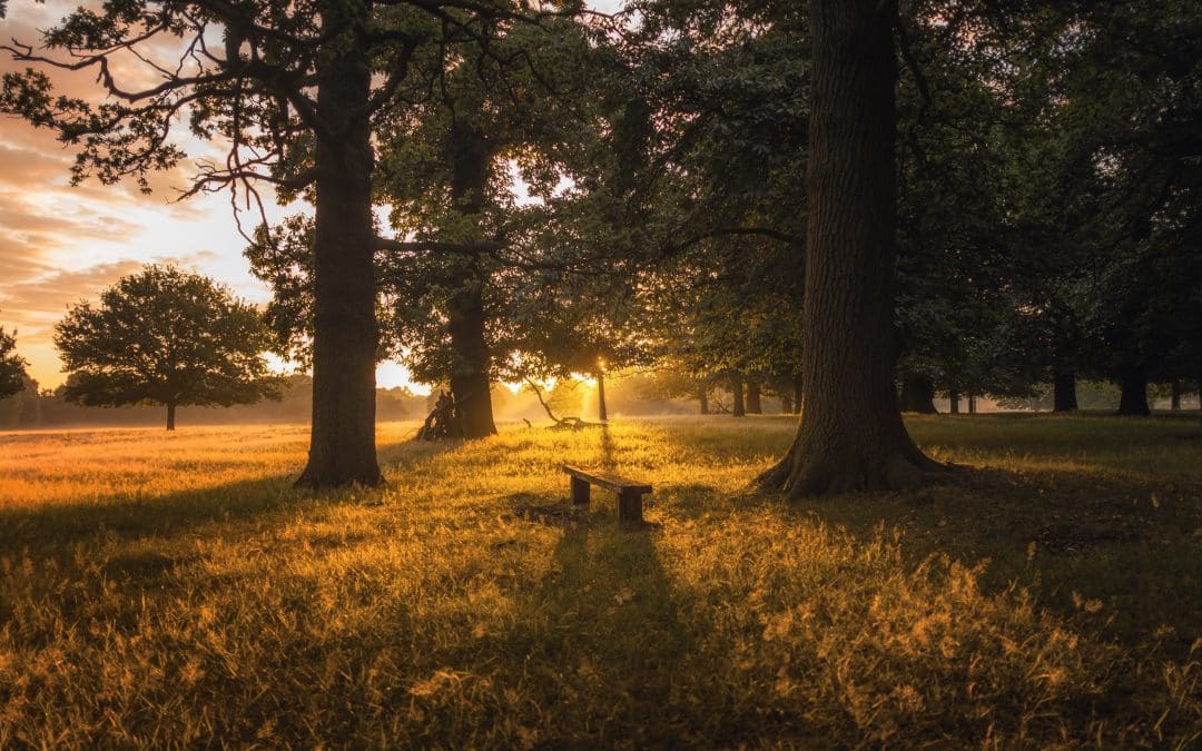 Actively Living: A Deathbed Angel’s Tale